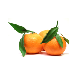 CLEMENTINE CORSE CAL 2/3/4 BIO 