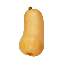 COURGE BUTTERNUTS  CAT II