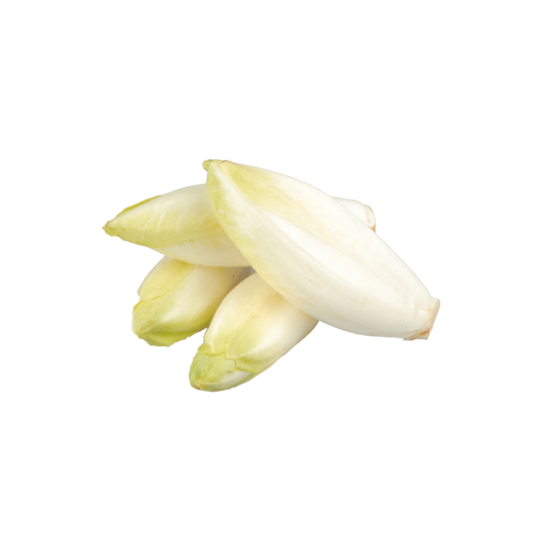 ENDIVE / NORD CAT II
