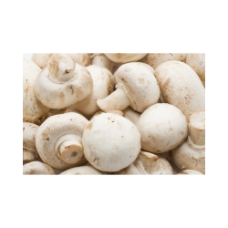 CHAMPIGNON PARIS BRUN 2KG CAT II