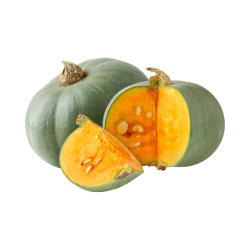 POTIMARRON VERT