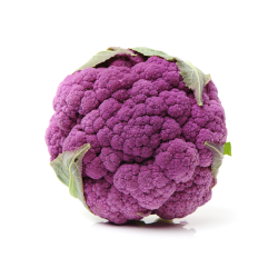 CHOU FLEUR VIOLET  