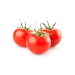 TOMATE RONDE BIO