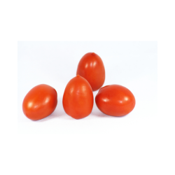 TOMATE ROMA BIO CAT II