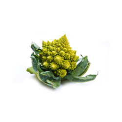 CHOU ROMANESCO  BIO - FRANCE