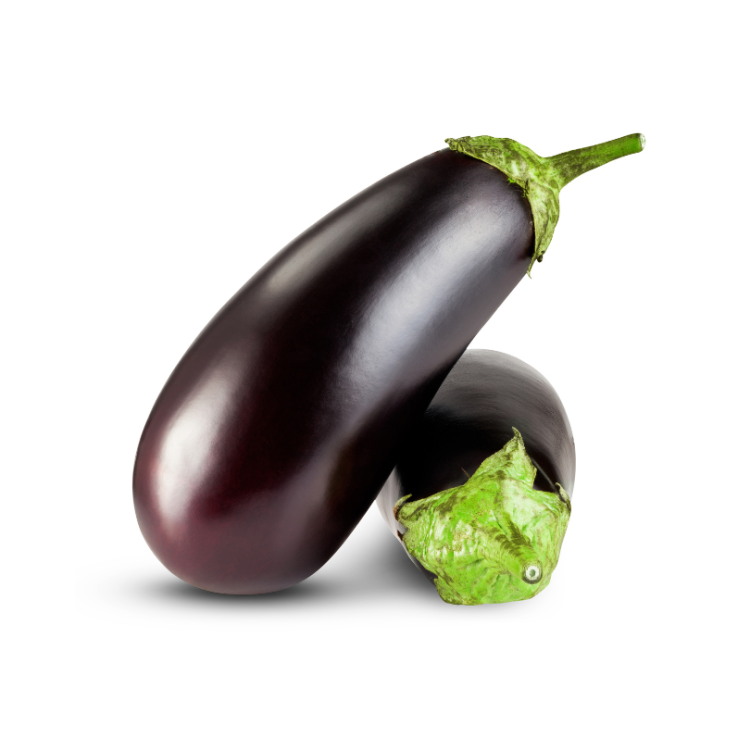 AUBERGINE BIO  CAT II