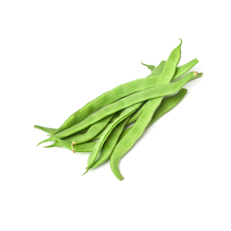 HARICOT PLAT