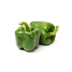 POIVRON VERT BIO