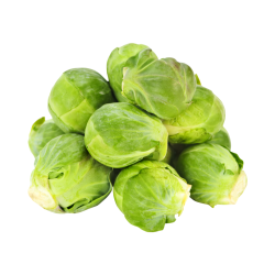 CHOU DE BRUXELLE