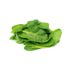EPINARD FEUILLES - BIO - FRANCE