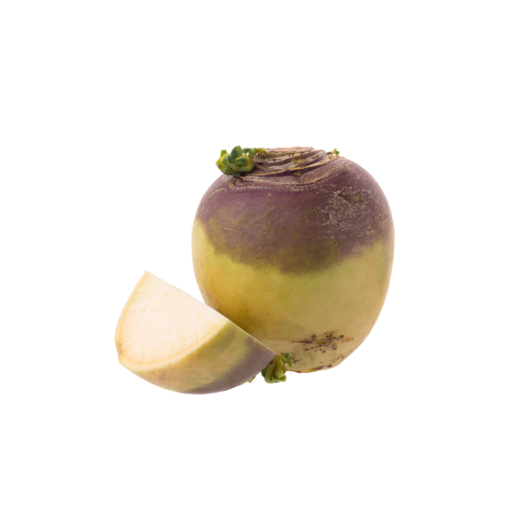 RUTABAGA BIO