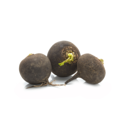 RADIS NOIR BIO
