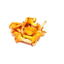 CHAMPIGNON GIROLLE CAT II