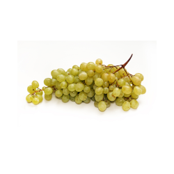 RAISIN CHASSELAS CAT II