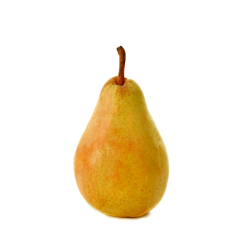 POIRE GUYOT CAT II