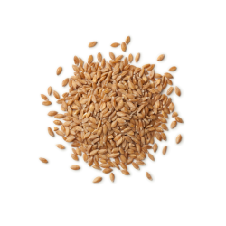 PETIT EPEAUTRE DECORTIQUE FRANCE (3KG) NATUR'AVENIR