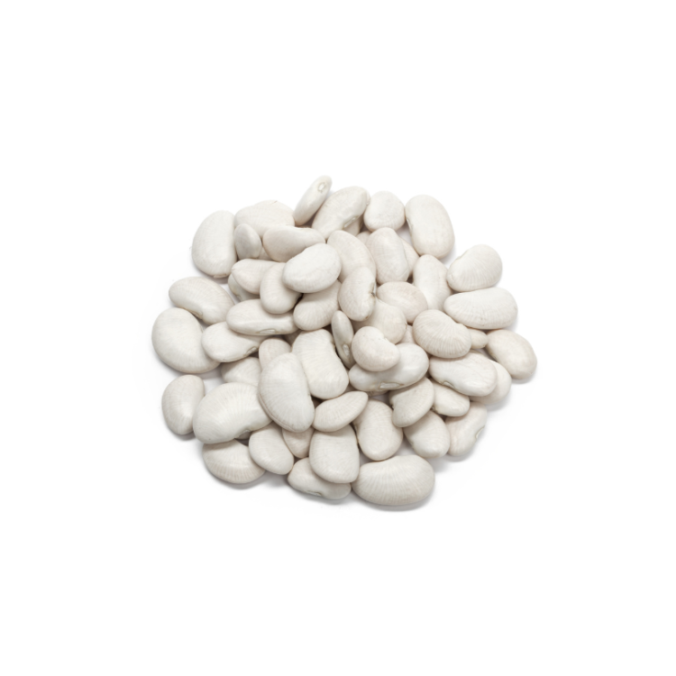 HARICOTS BLANCS - BIO - FRANCE