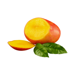 MANGUE OSTEEN