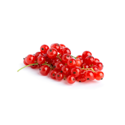 GROSEILLE BARQ.X125GR FR BIO