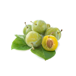 PRUNE REINE CLAUDE