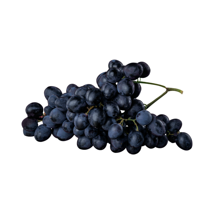 RAISIN MUSCAT DE HAMBOURG AOP CAT II