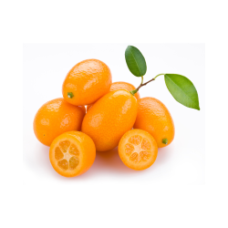 KUMQUAT - ESPAGNE -