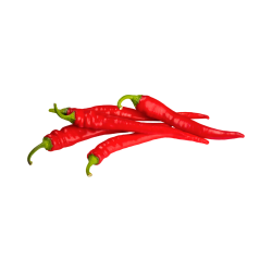 PIMENT FORT ROUGE - BIO - ESPAGNE