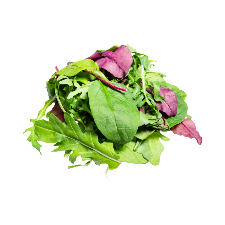 SALADE JEUNES POUSSES - BIO - FRANCE