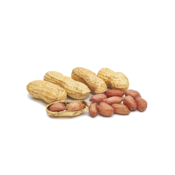 ARACHIDE COQUE (2KG) EGYPTE