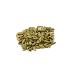 GRAINES DE COURGE (5KG) LE BIO POUR TOUS