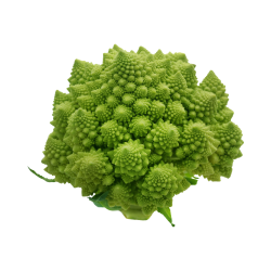 ROMANESCO