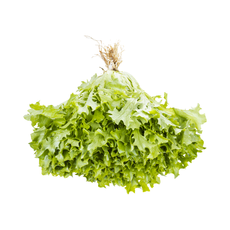 SALADE ROUGETTE
