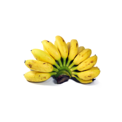 BANANE FRECINETTE - EQUATEUR- CAT II- 