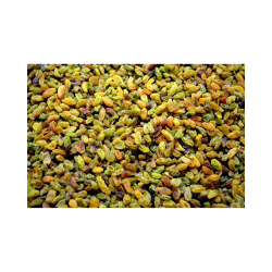 RAISINS SECS VERTS BIO