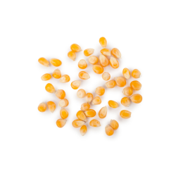 MAIS POP CORN FRANCE (3KG) NATUR'AVENIR