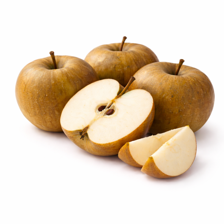 Pomme canada grise - Bio - France