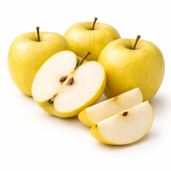 POMME GOLDEN CAT II
