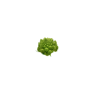 ROMANESCO