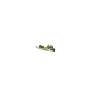 Poireaux - Bio - France
