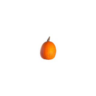 POTIMARRON BIO
