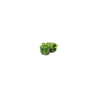 POIVRON VERT BIO