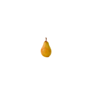 POIRE CONFERENCE BIO