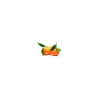 CLEMENTINE CORSE CAL 2/3/4 BIO