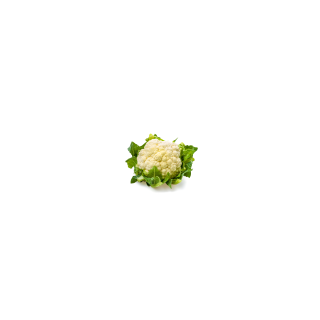 CHOU FLEUR BLANC - BIO - FRANCE