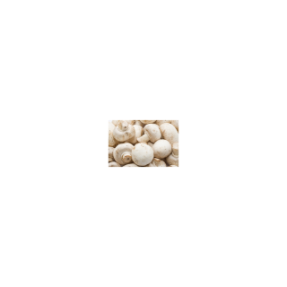 CHAMPIGNON PARIS FRANCE BIO