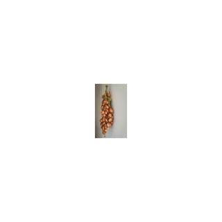 ECHALOTTE TRESSE