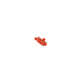 TOMATE COCKTAIL GRAPPE BIO