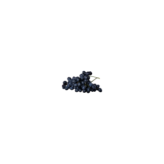 RAISIN MUSCAT DE HAMBOURG BIO