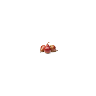 POIRE WILLIAM ROUGE BIO