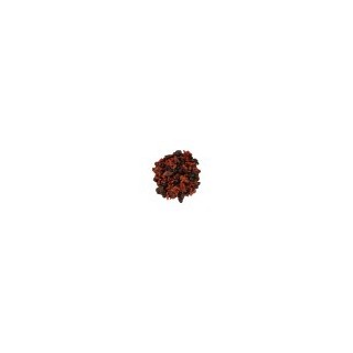 MELANGE FRUITS ROUGES BIO
